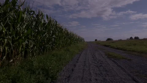 Agronomy Field Corn Way Sky Cloud Road Day 2026 Stock Footage 341957975