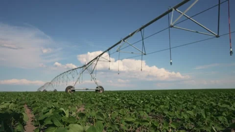 Agronomy irrigation system action. Efficient irrigation system boosts crop yield 動画素材 317006533