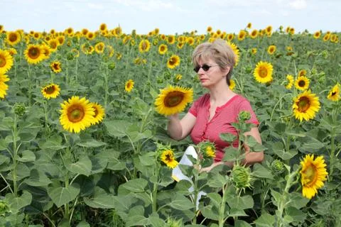 Agronomy Fotos Stock