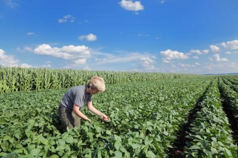 Agronomy 写真素材