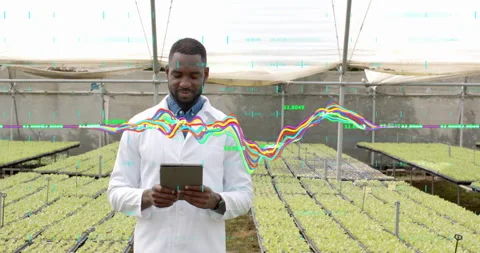 Agronomy researcher tapping tablet animating waveforms tracking seedling health Stock Footage 314736681