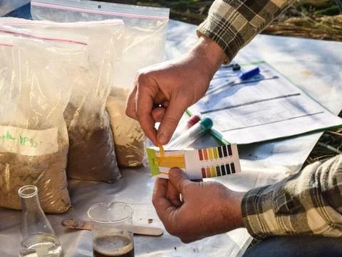 Agronomy specialist testing soil sample with litmus paper outdoors Stock Photos
