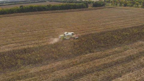 Agrotechnics working in field Video stock 95936736