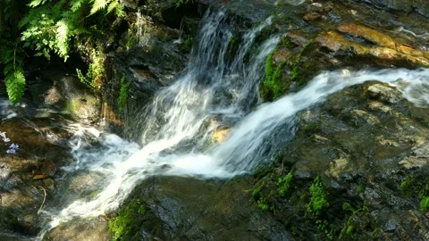 "Água d'Alte", small waterfall in Aveiro district Stock Footage 165607882