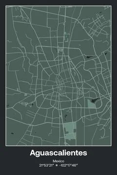 Aguascalientes, Mexico - vector map of city in Dark gray, Gray, Green, gray-gree Stock Illustration