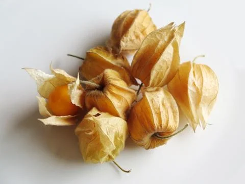 Aguaymanto, Peruvian fruit Stock Photos