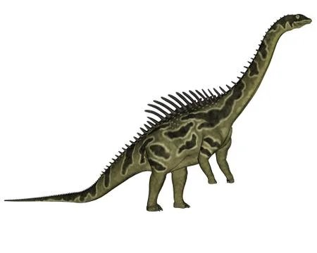 Agustinia dinosaur - 3D render Stock Illustration