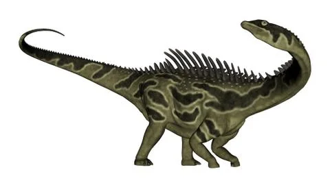 Agustinia dinosaur - 3D render Stock Illustration