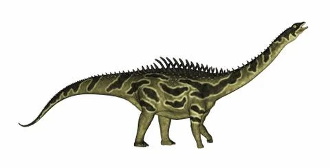 Agustinia dinosaur - 3D render Stock Illustration