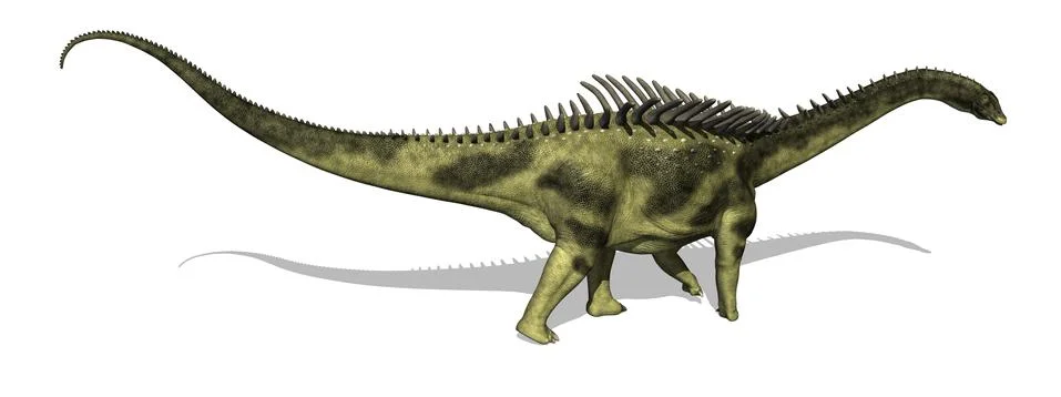 Agustinia Dinosaur Stock Illustration