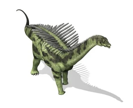 Agustinia Stock Illustration