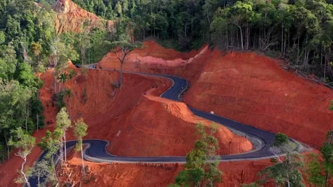 AH - Aerial View of Road Between Tropical Foreset Stock Footage 241308843