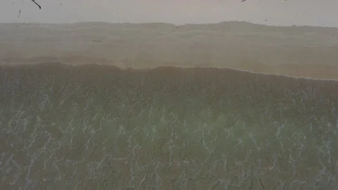 AH - Beach and Wave (9) Stock Footage 194814325