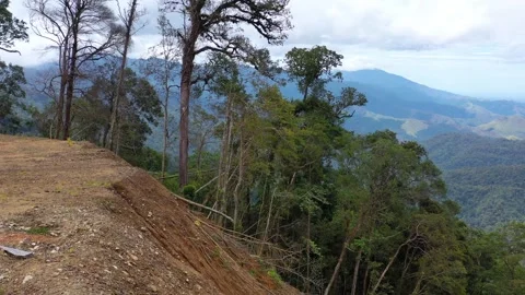 AH - Mountains and Dense Rainforests Video stock 246912754