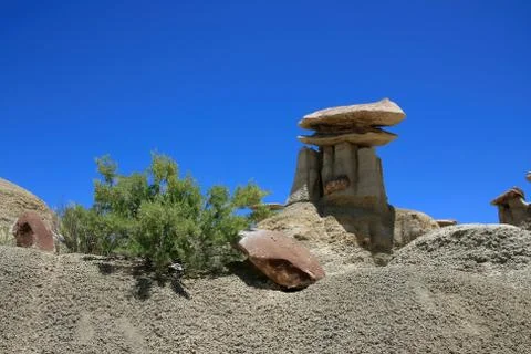 Ah-Shi-Sle-Pah Wilderness Study Area; New Mexico Foto stock