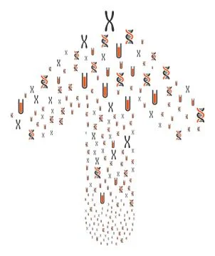 Ahead Way Arrow Shape with Genetics Analysis 스톡 일러스트