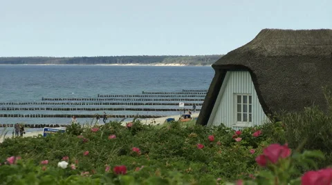 Ahrenshoop Stock Footage 7051291