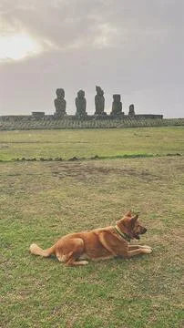 Ahu Tahai ceremonial complex on Easter Island, Chile. Historic Moai statues Фото