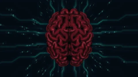 AI Artificial intelligence digital brain bid data deep learning computer machine Stock Footage 162302780