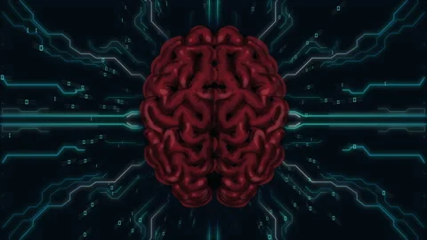 AI Artificial intelligence digital brain bid data deep learning computer machine Stock Footage 162304334