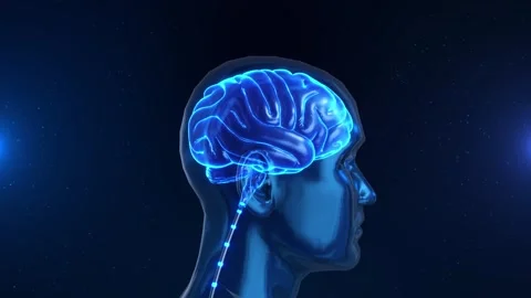 AI big data concept digital blue human face neural network on technology backgro Stock Footage 342787971