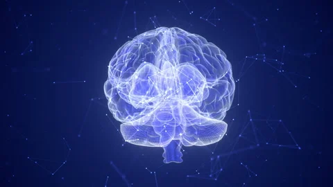 AI brain technology and plexus Stock-Footage 244184635