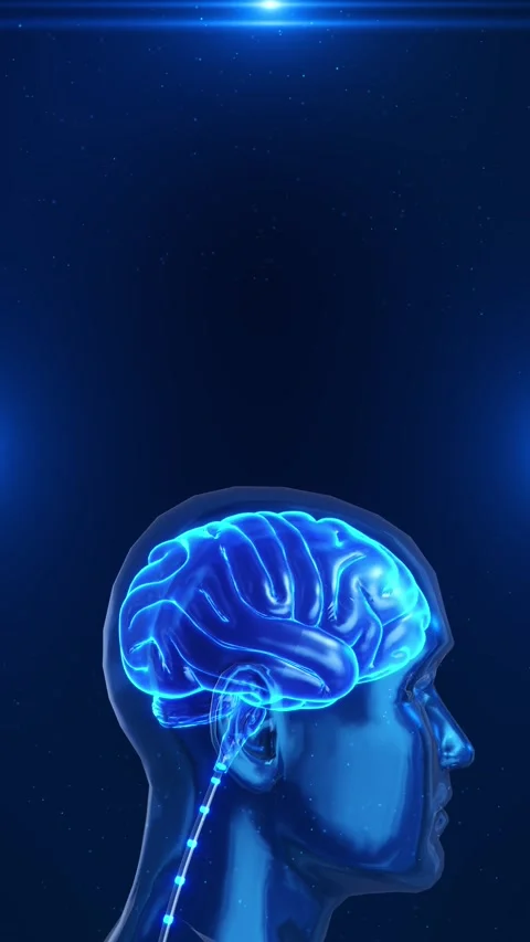 Ai brain technology infographic background. Futuristic artificial intelligence m Stock Footage 342787954