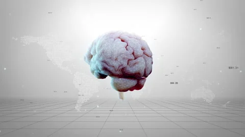 AI Brain Technology Loop Video stock 205350740