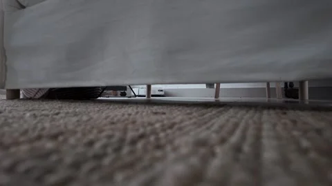 AI Cleaning Stock Footage 321354228