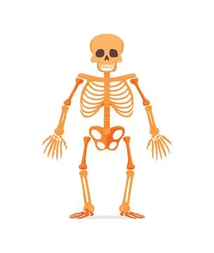 A AI Exoskeleton simple illustration Stock Illustration