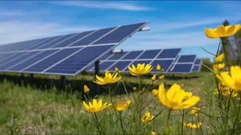 Ai: solar &amp; flowers Stock Footage 332237675