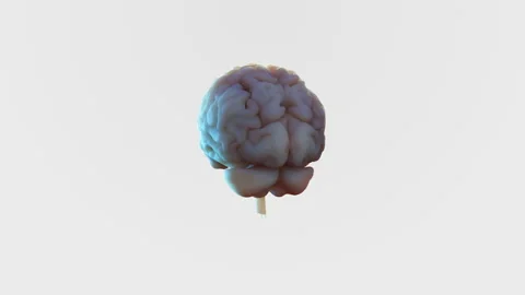 AI Technology Brain Stock Footage 232768271