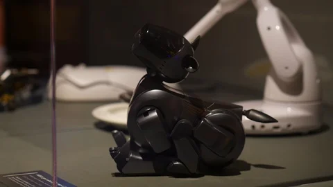 AIBO toy robot dog set out for display Stock Video Pond5