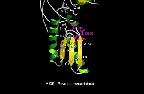 AIDS reverse transcriptase, mol. model Stock Illustration