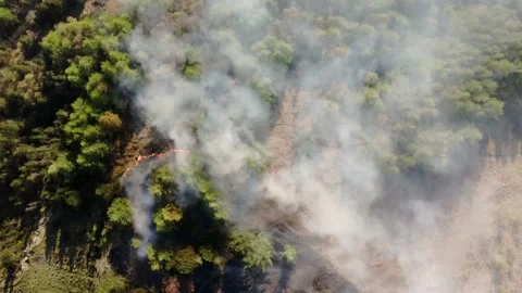 Aieral view of fire spreading on a mountain forest bank from kids starting fires Stock Footage 153052908
