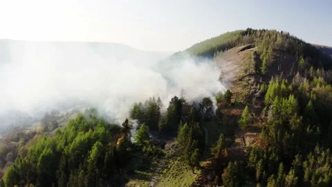 Aieral view of fire spreading on a mountain forest bank from kids starting fires Stock Footage 153054259