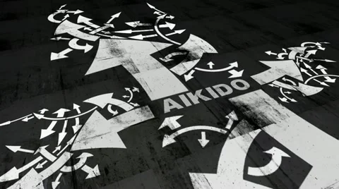 AIKIDO Stock Footage 11214573