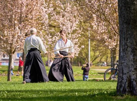 Aikido training in the park Stock Photos