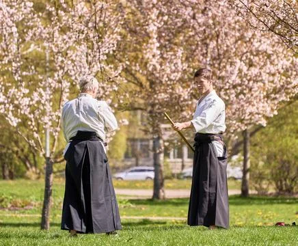 Aikido training in the park Stock Photos
