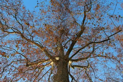 Aim for the sky... Stock Illustration