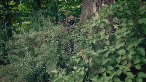 Aiming soldier in the bushes Stock Footage 245800934