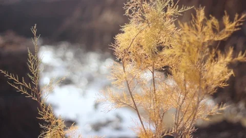 Ain chouater Video stock 125236824