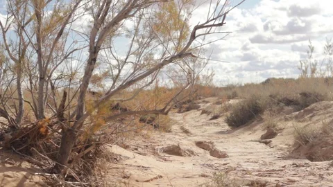 Ain chouater Stock Footage 125236836