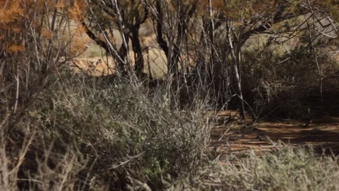 Ain chouater Video stock 125236963