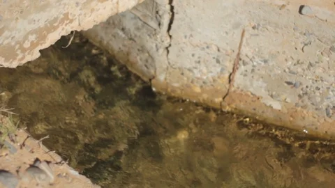 Ain chouater Video stock 125237036