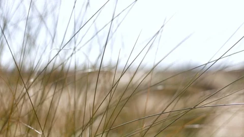  ain chouater  Video stock 125420382