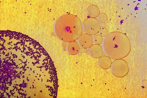 Air and oil bubbles inside water base form patterns Stock Illustration