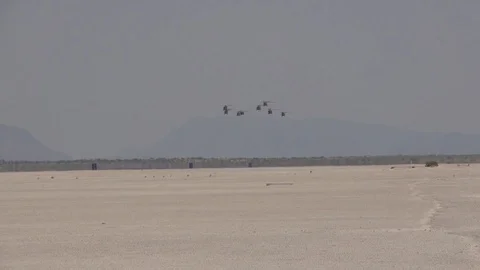 Air Assault training by U.S. Army at space harbor - 2017 Stock Footage 86791975