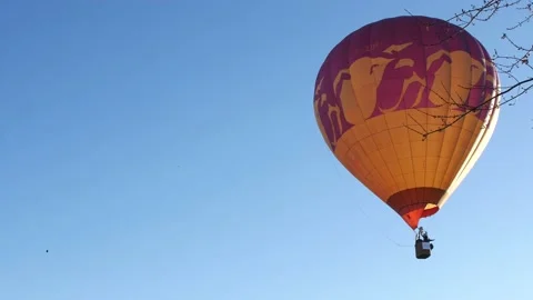 Air Balloons 스톡 동영상 142127949