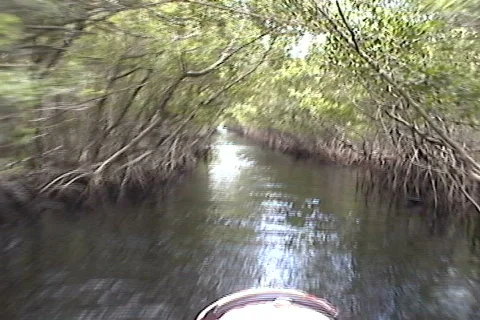 Air Boat Ride-2 Stock Footage